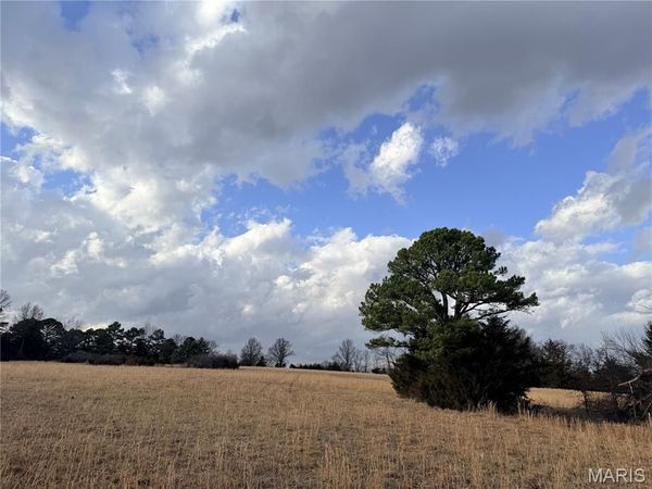 Tract 2B 935 Audrain Rd , Mexico, MO 65265