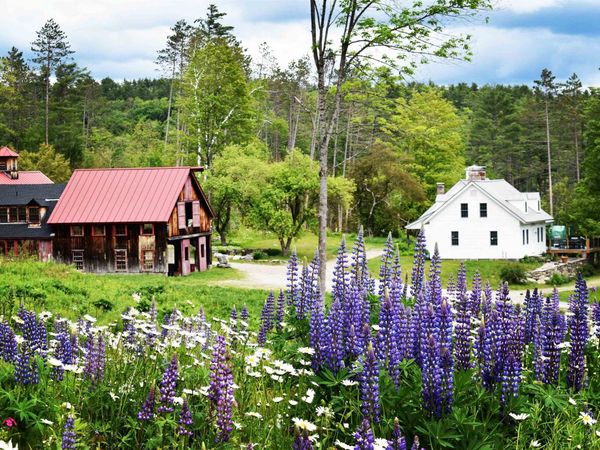 4669 Vermont Rte 100, Londonderry, VT 05148