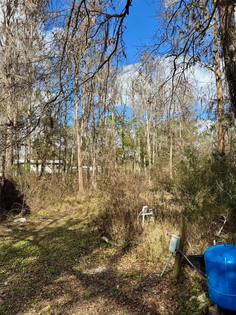 26931 Deacon Loop, Zephyrhills, FL 33544 Photo