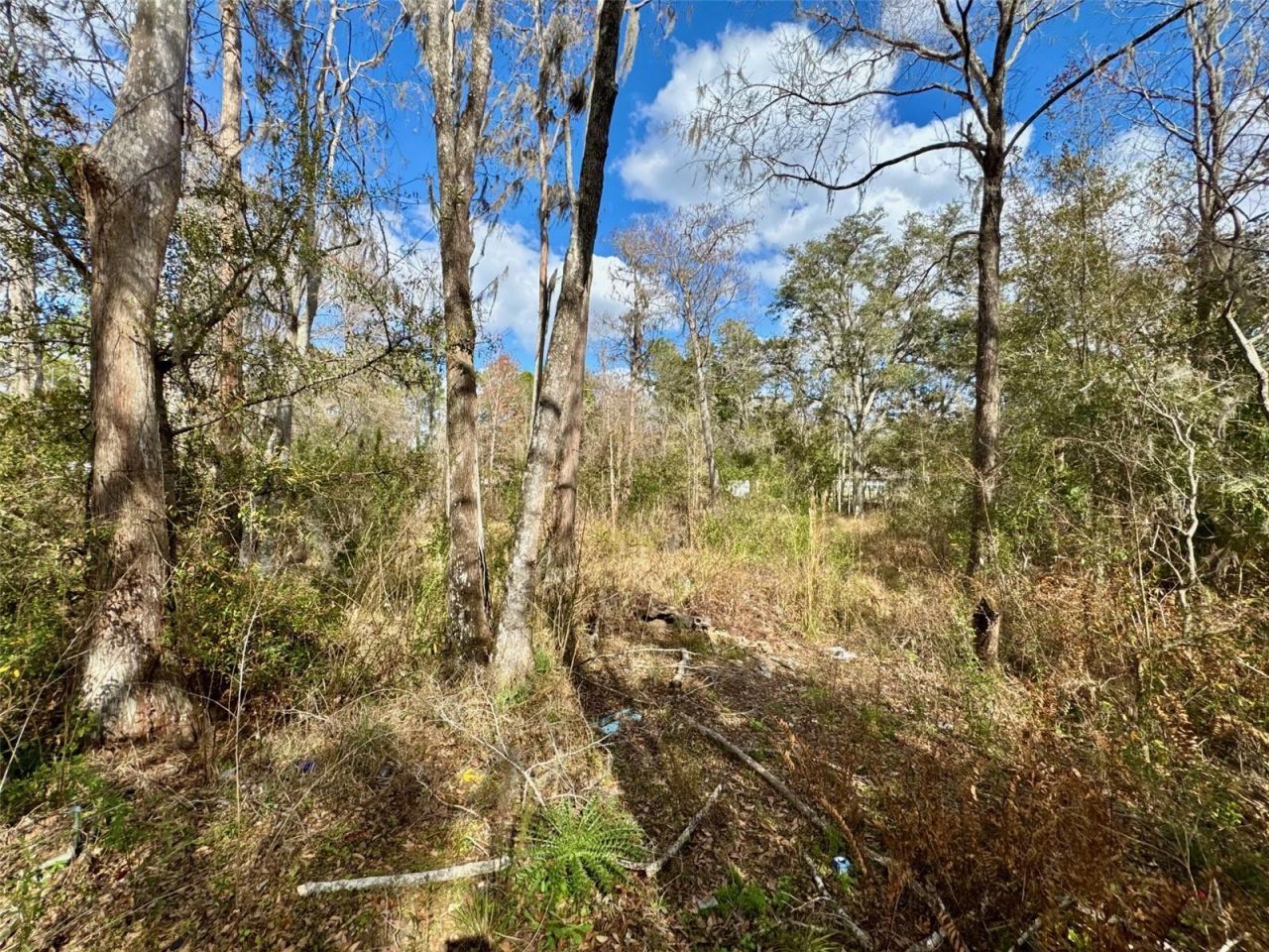 26931 Deacon Loop, Zephyrhills, FL 33544 Photo