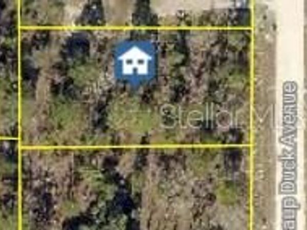 16051 SCAUP DUCK AVENUE, WEEKI WACHEE, FL 34614