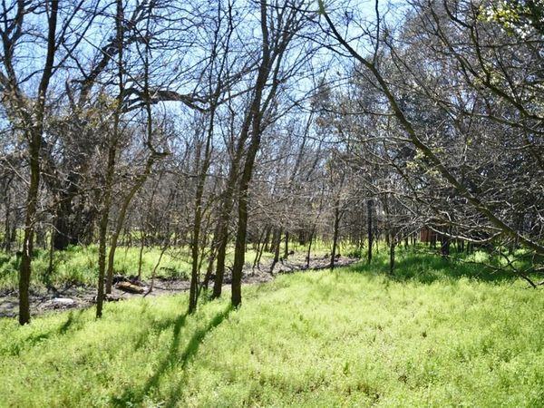 1407 W Maple, Goldthwaite, TX 76844