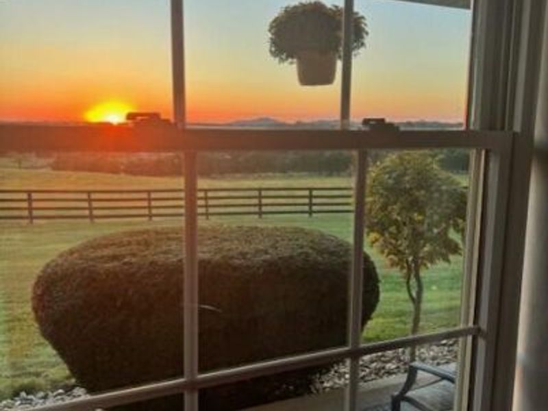 16740 Ellis Road, Laurelville, OH 43135 Photo 79