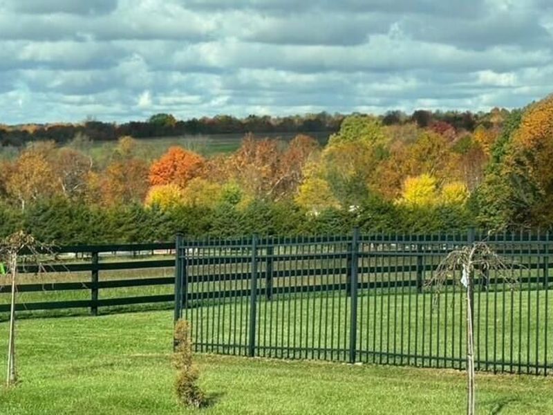 16740 Ellis Road, Laurelville, OH 43135 Photo 80