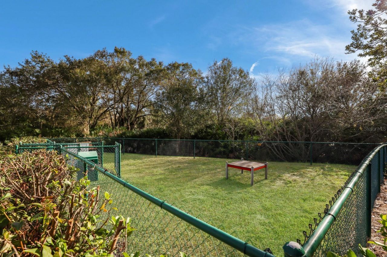 14335 Stirling Drive, Lakewood Ranch, FL 34202 Photo