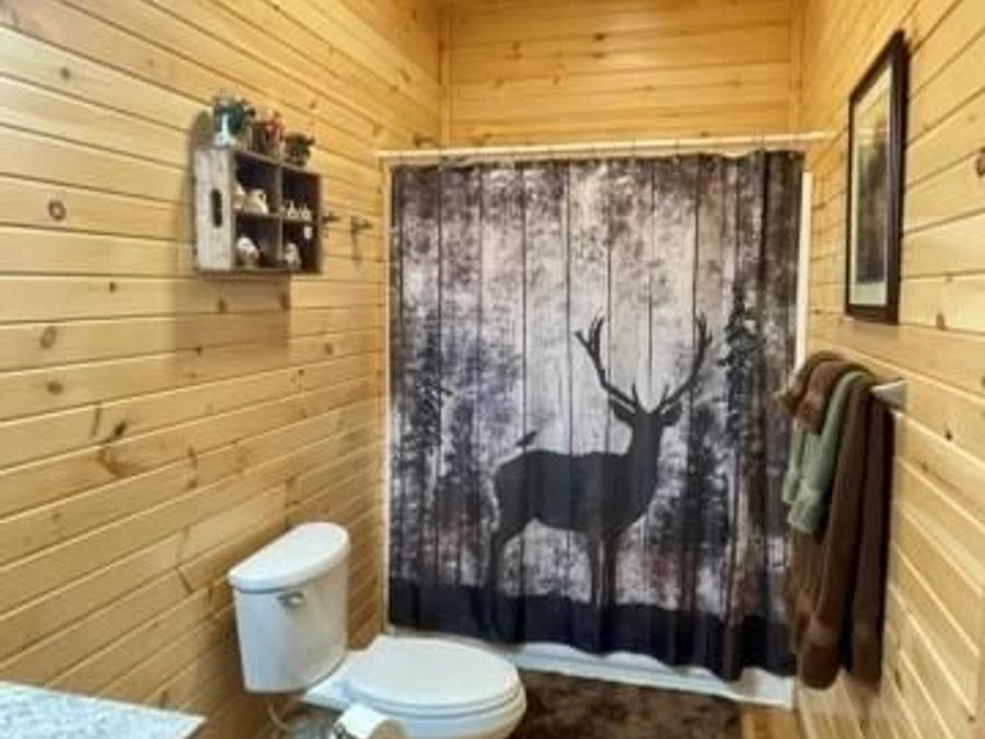 Property Image 41