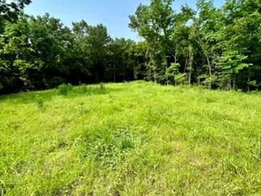 Property Image 62