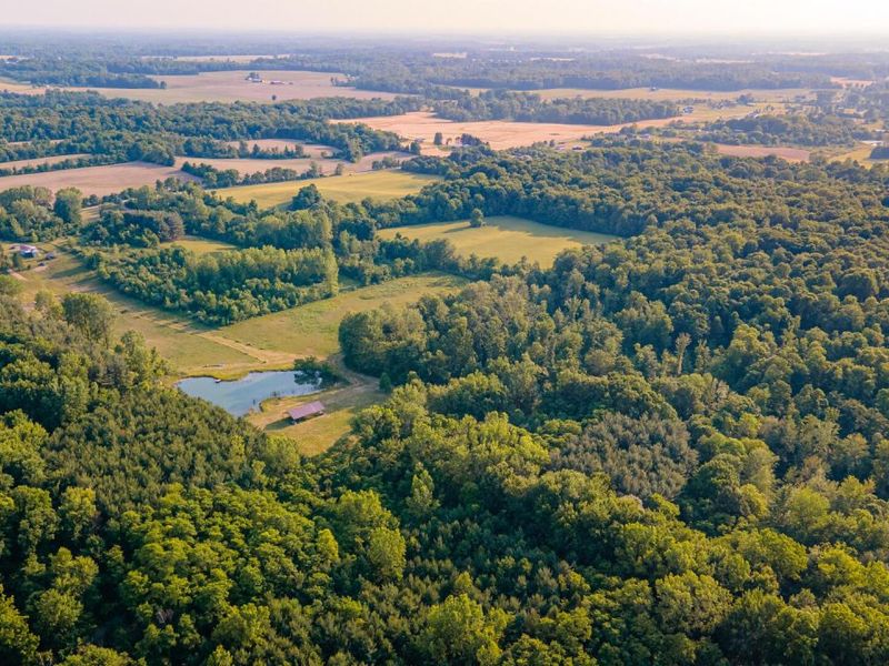 6161 County Road 191, Marengo, OH 43334 Photo 10