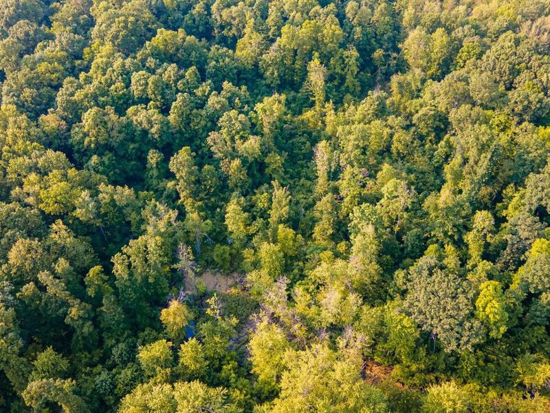 6161 County Road 191, Marengo, OH 43334 Photo 8