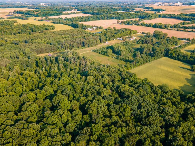 6161 County Road 191, Marengo, OH 43334 Photo 9