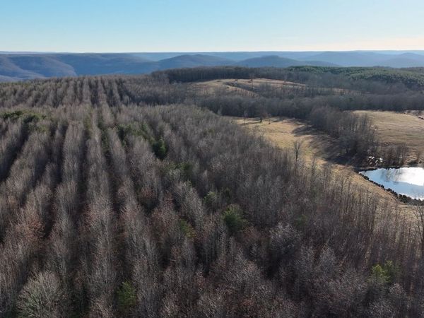 0 Lewis Road, McMinnville, TN 37110