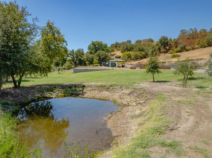 3890 Delmar Ave, Loomis, CA 95650 Photo