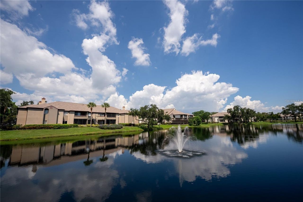 10263 Gandy Boulevard N, Unit 2316, Saint Petersburg, FL 33702 Photo