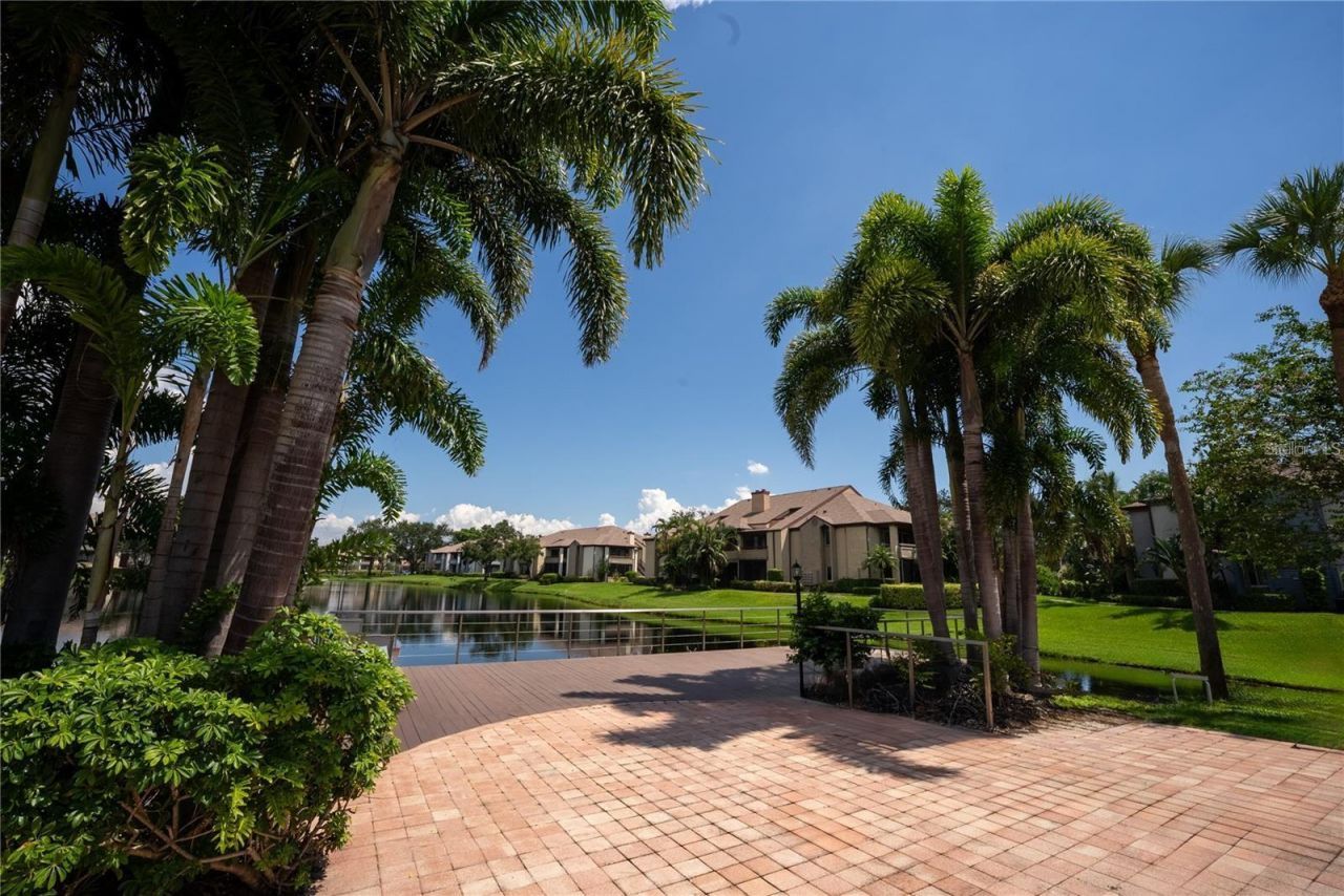 10263 Gandy Boulevard N, Unit 2316, Saint Petersburg, FL 33702 Photo