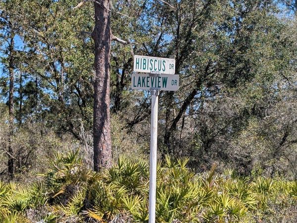 923 HIBISCUS DRIVE, INDIAN LAKE ESTATES, FL 33855