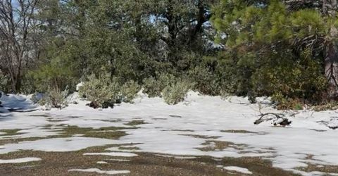 15238 Highway 26, Glencoe, CA 95245 Photo