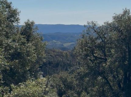 15238 Highway 26, Glencoe, CA 95245 Photo