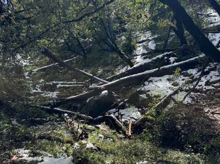 15238 Highway 26, Glencoe, CA 95245 Photo