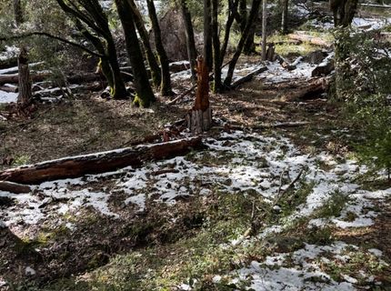 15238 Highway 26, Glencoe, CA 95245 Photo