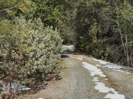 15238 Highway 26, Glencoe, CA 95245 Photo