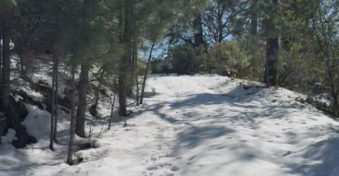 15238 Highway 26, Glencoe, CA 95245 Photo