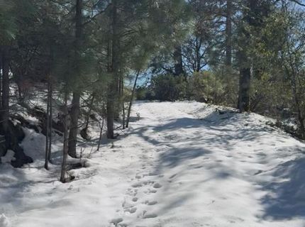 15238 Highway 26, Glencoe, CA 95245 Photo
