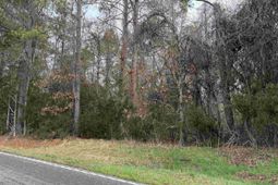 0 Saint Phillips Chruch Road  photo 4