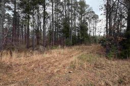 0 Saint Phillips Chruch Road  photo 4