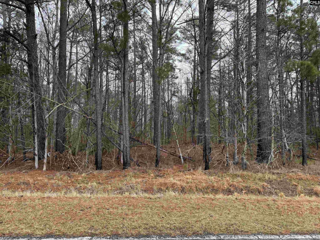 0 Saint Phillips Chruch Road  Photo 4