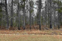 0 Saint Phillips Chruch Road  photo 4