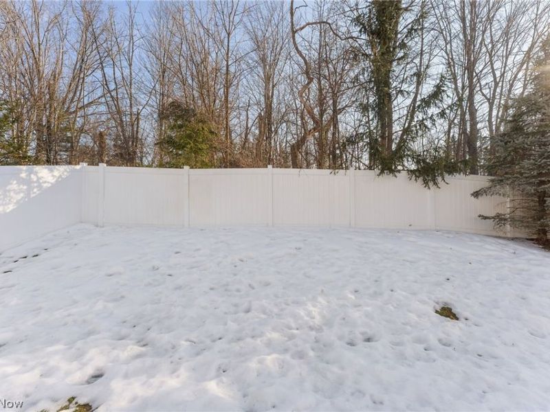 9858 Gabriels Way, Concord, OH 44060 Photo 8