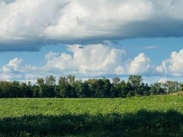 8XXX Rushseba Trail, Rush City, MN 55069