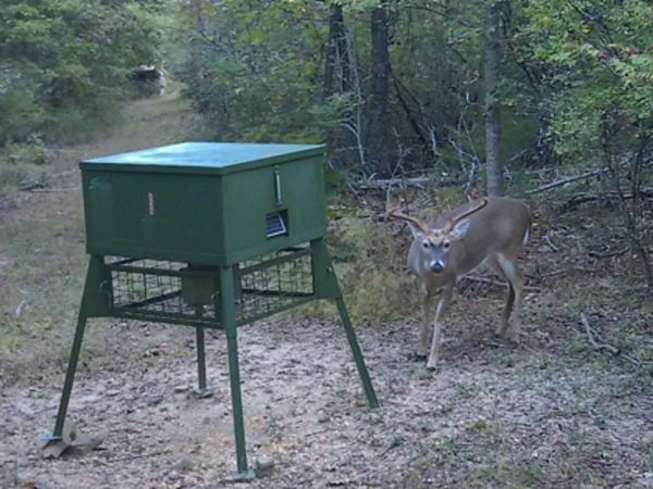 623 Batesville Mountain Road, Damascus, AR 72039