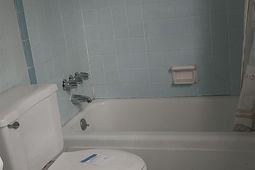 81 Wintergreen Dr. photo 4