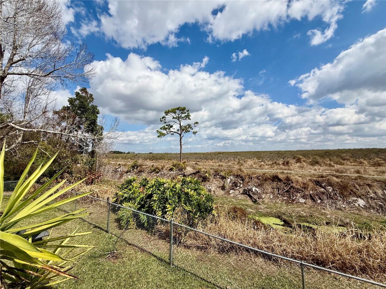 478 Humphrey Avenue, Lake Placid, FL 33852 Photo