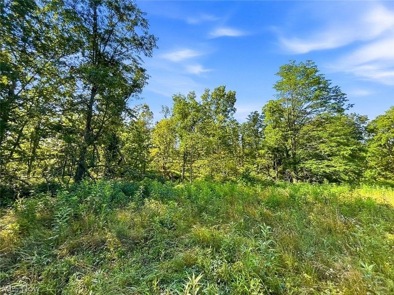 0 State Route 155 SE, Corning, OH 43730 Photo 10