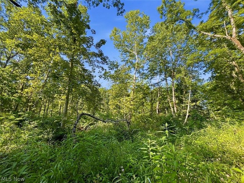 0 State Route 155 SE, Corning, OH 43730 Photo 12