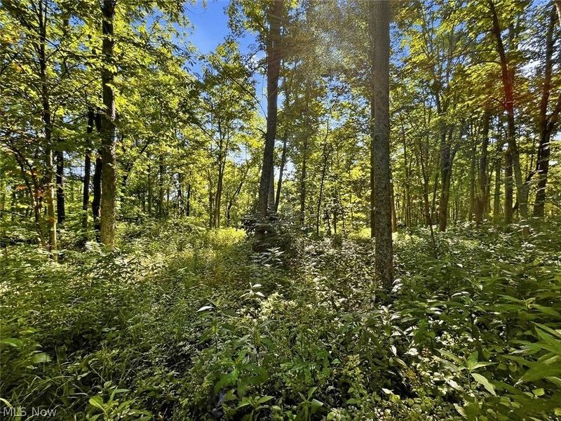 0 State Route 155 SE, Corning, OH 43730 Photo 13