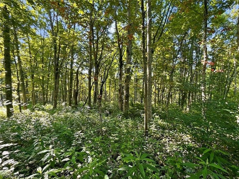 0 State Route 155 SE, Corning, OH 43730 Photo 14