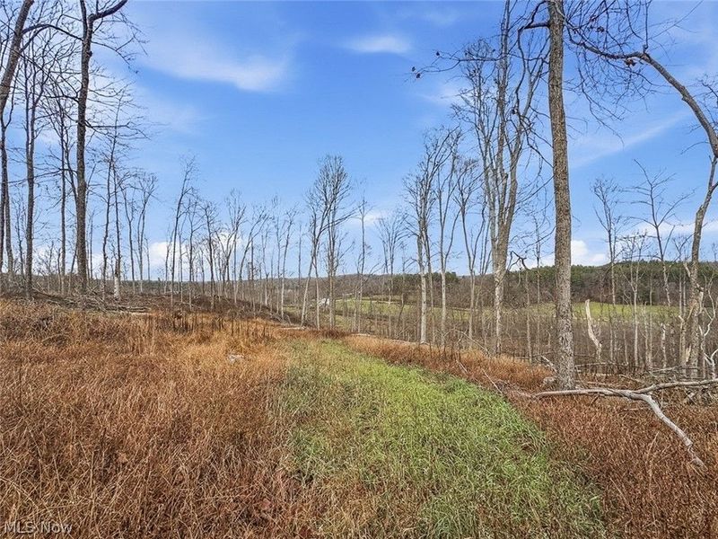 0 State Route 155 SE, Corning, OH 43730 Photo 19