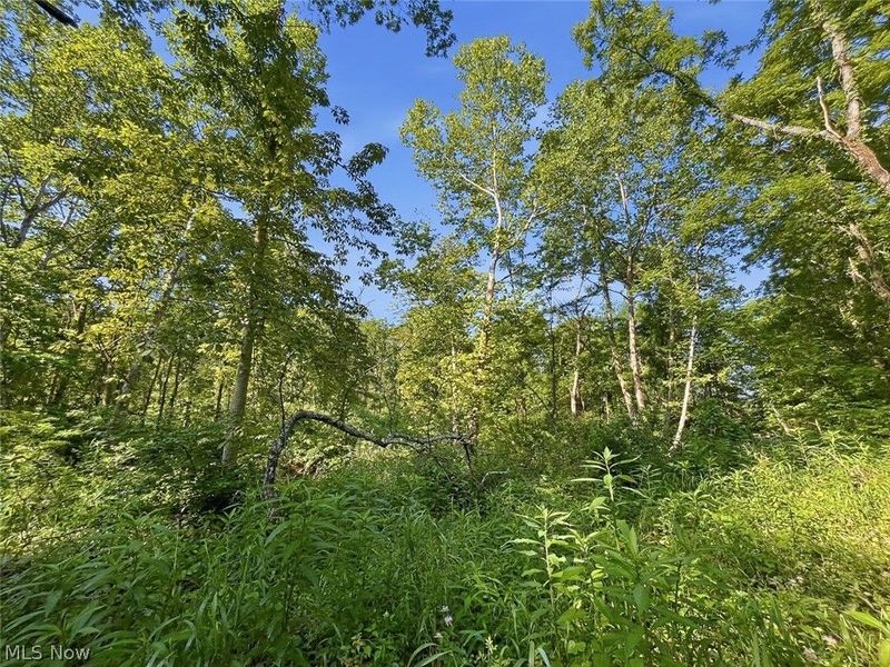 0 State Route 155 SE, Corning, OH 43730 Photo 2