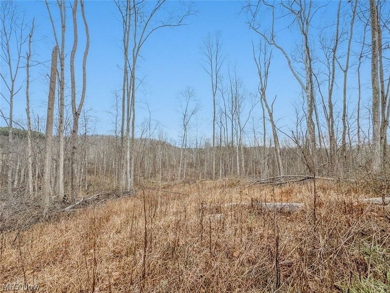 0 State Route 155 SE, Corning, OH 43730 Photo 21