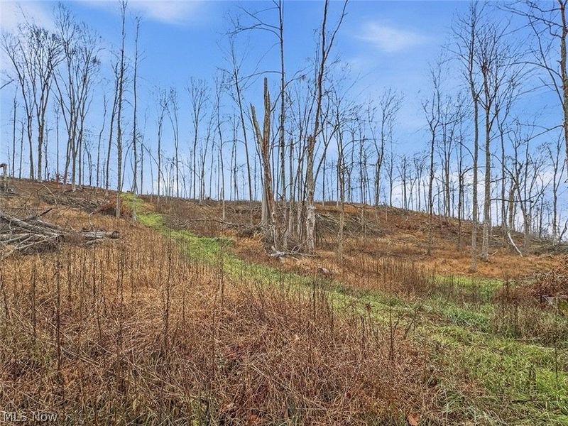 0 State Route 155 SE, Corning, OH 43730 Photo 22