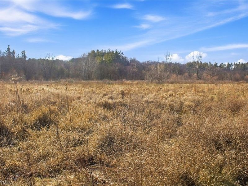 0 State Route 155 SE, Corning, OH 43730 Photo 46