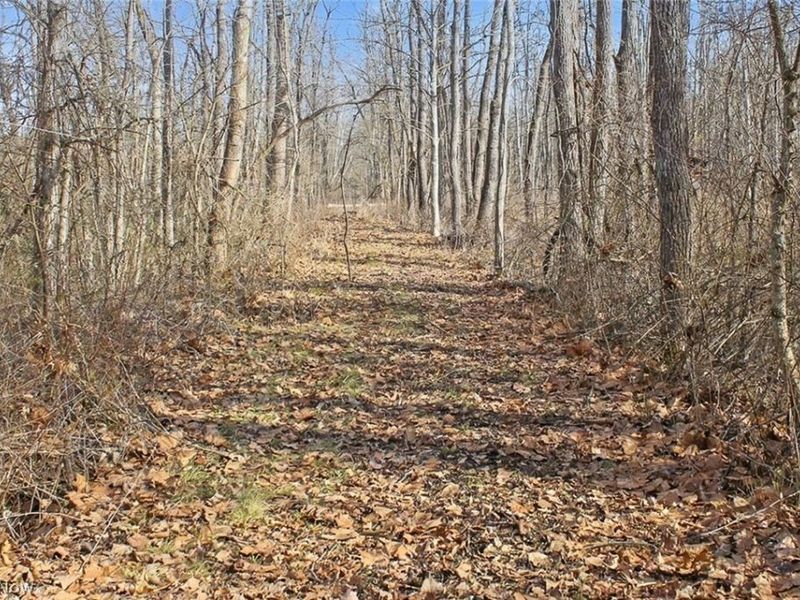 0 State Route 155 SE, Corning, OH 43730 Photo 47