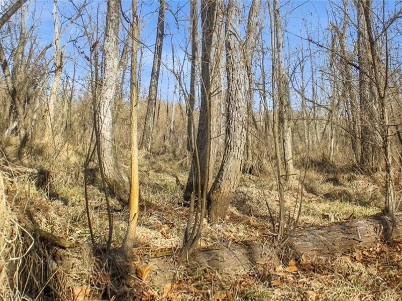 0 State Route 155 SE, Corning, OH 43730 Photo 48