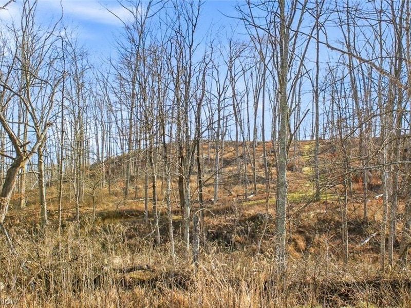 0 State Route 155 SE, Corning, OH 43730 Photo 50