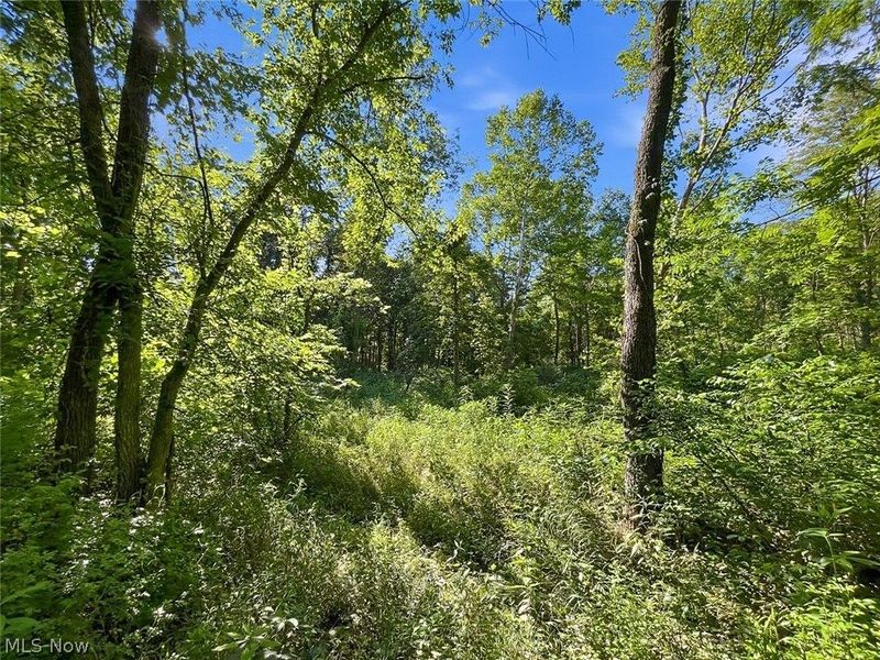 0 State Route 155 SE, Corning, OH 43730 Photo 8