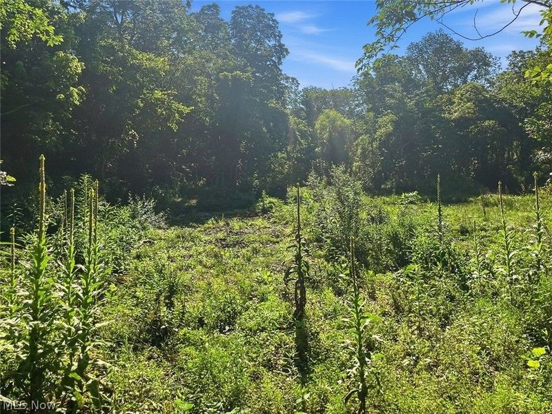 0 State Route 155 SE, Corning, OH 43730 Photo 9