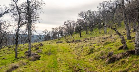 Skunk Gulch Road, Vallecito, CA 95251 Photo
